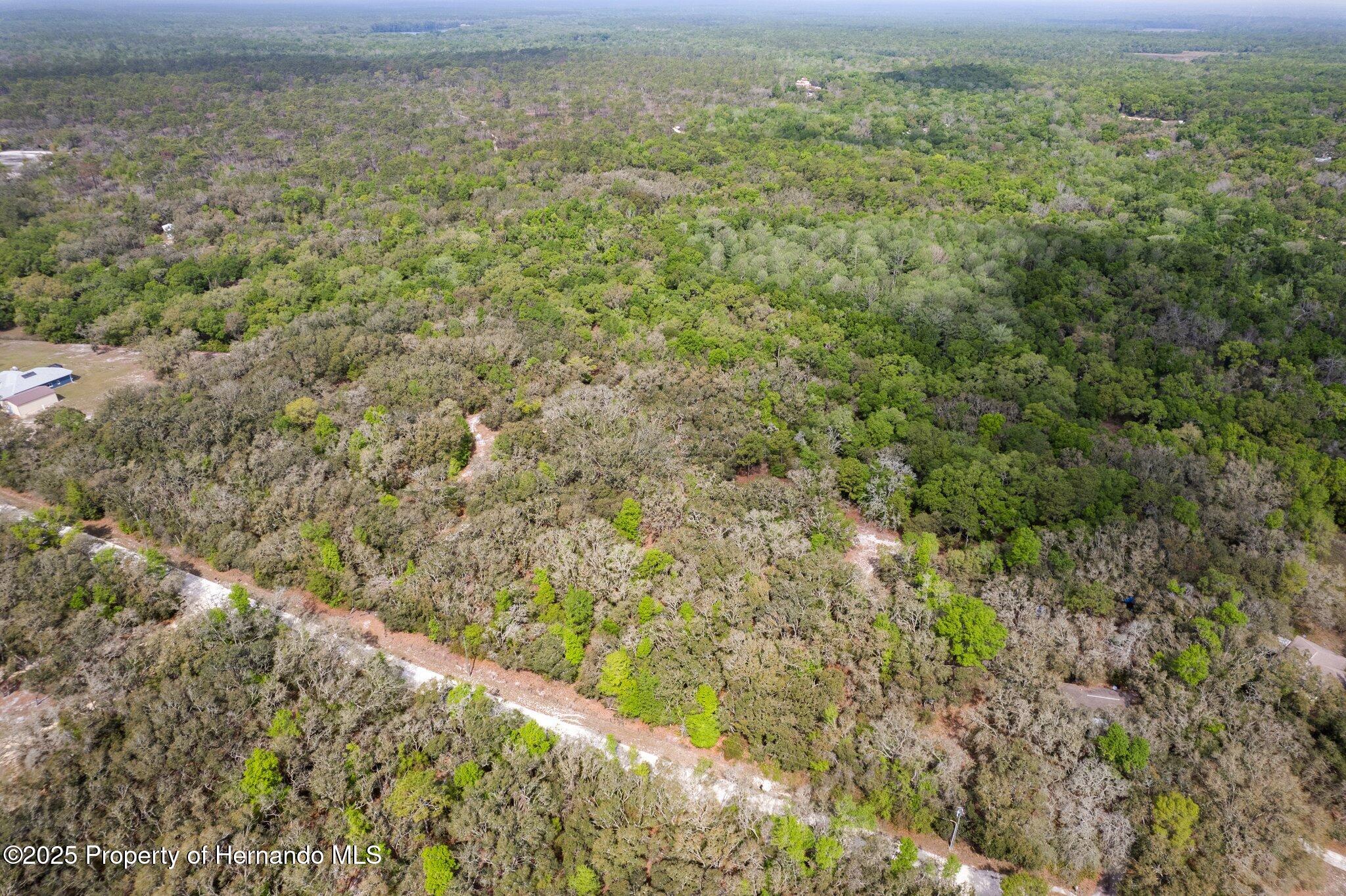 00 Rim Rock Street, Webster, Florida image 19