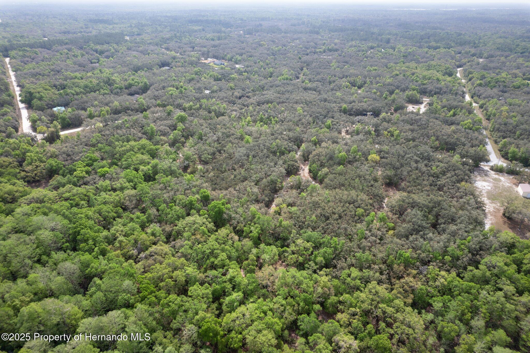 00 Rim Rock Street, Webster, Florida image 14