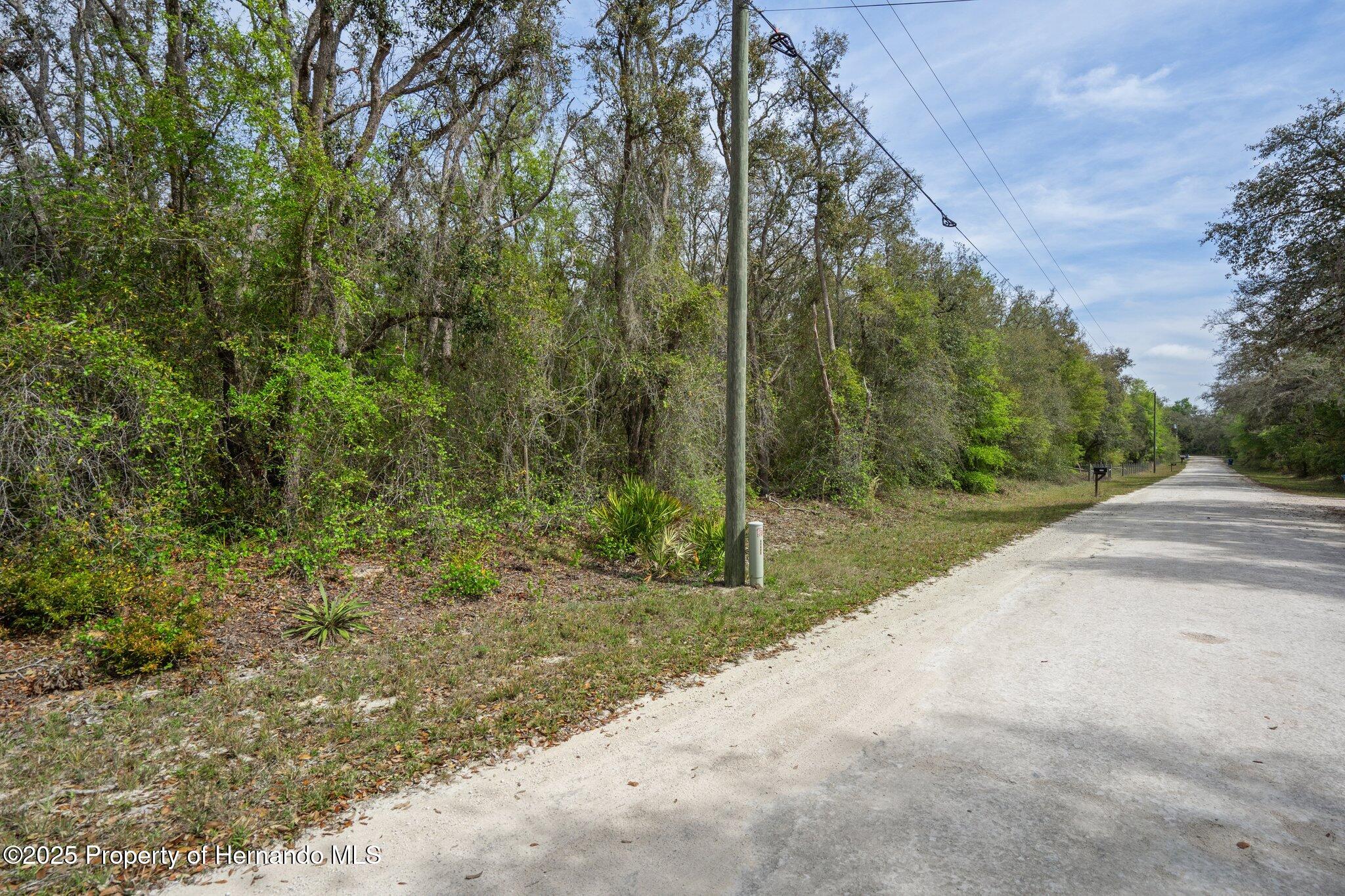 00 Rim Rock Street, Webster, Florida image 6