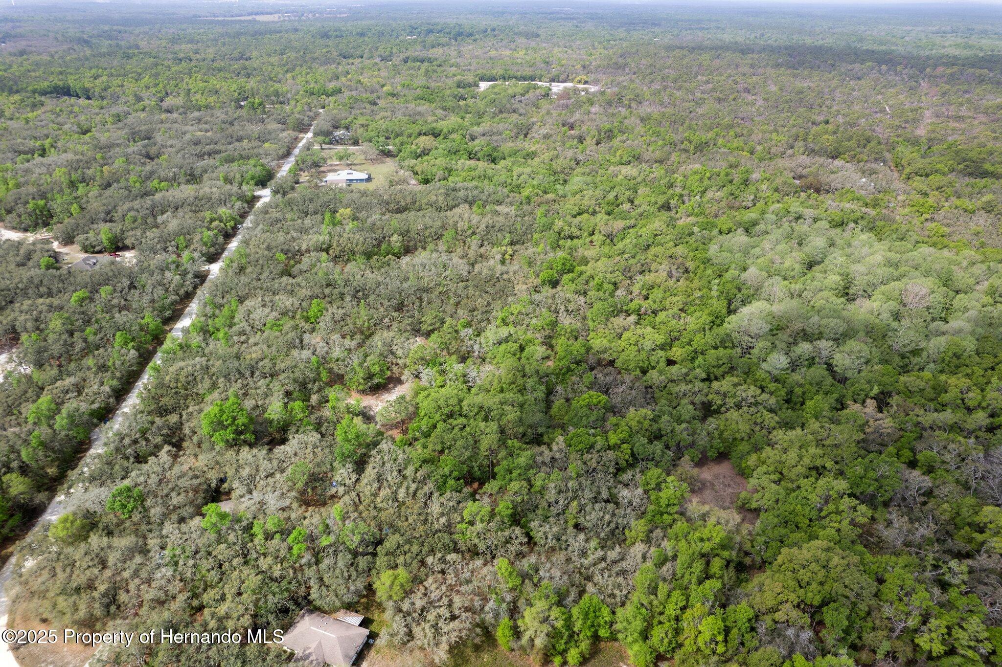 00 Rim Rock Street, Webster, Florida image 17