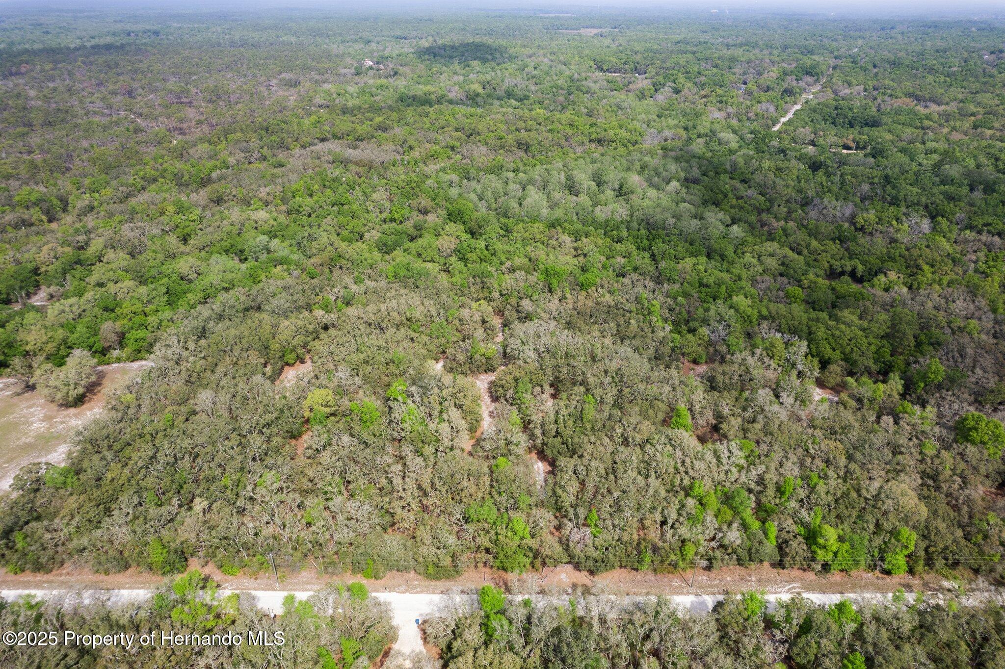 00 Rim Rock Street, Webster, Florida image 11