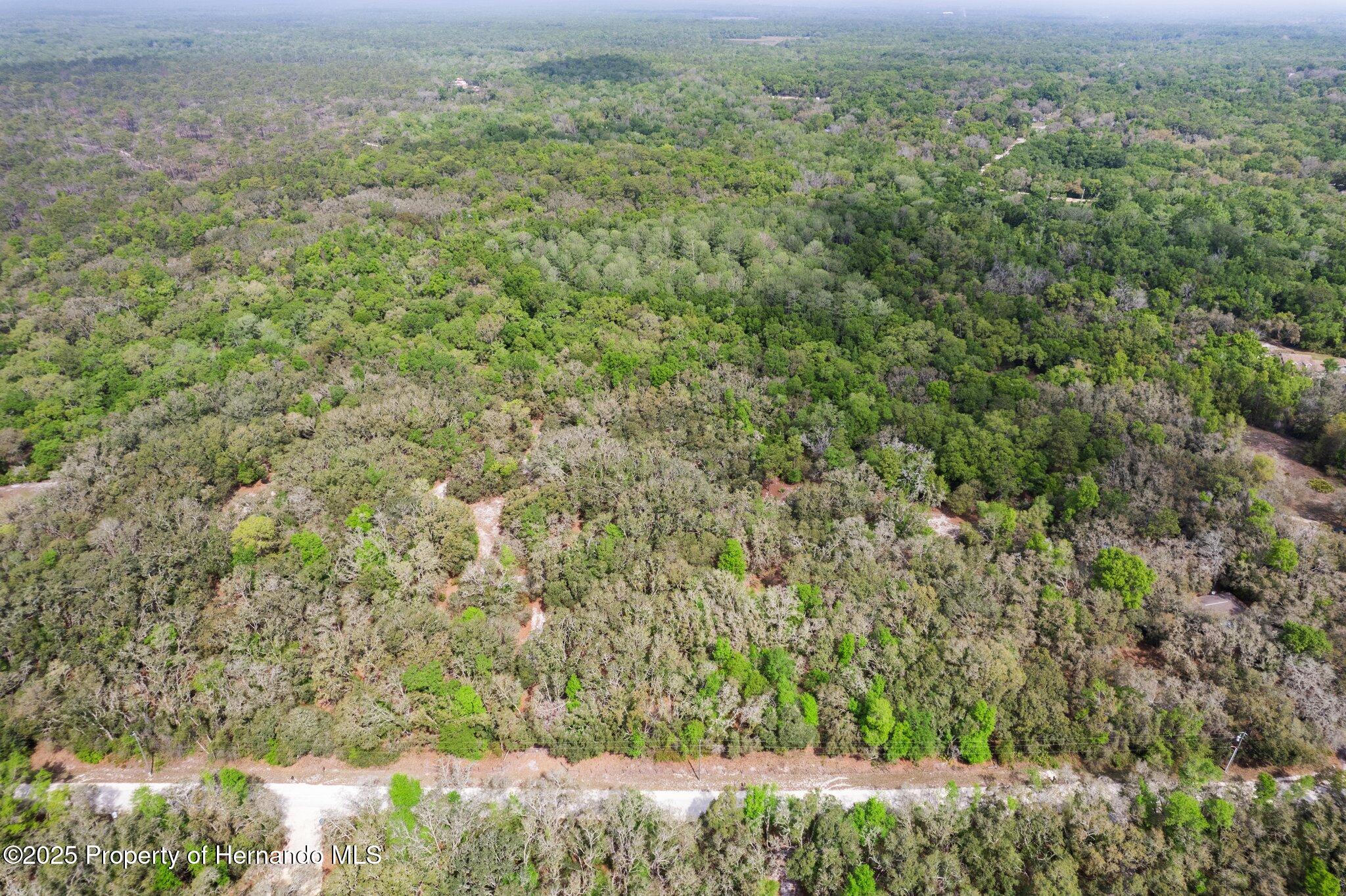 00 Rim Rock Street, Webster, Florida image 20