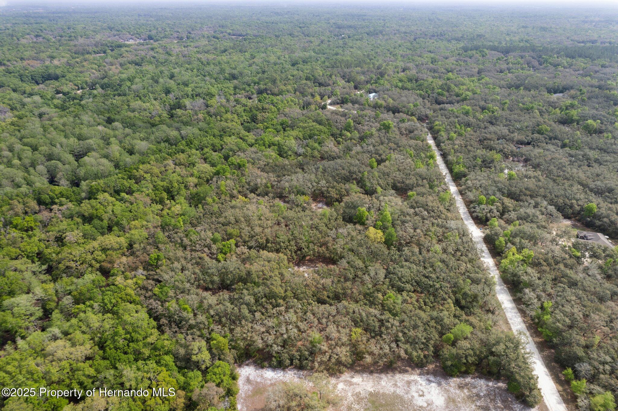 00 Rim Rock Street, Webster, Florida image 24