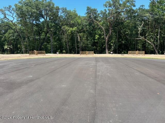 Republican (lot 2) Way, Brooksville, Florida image 11