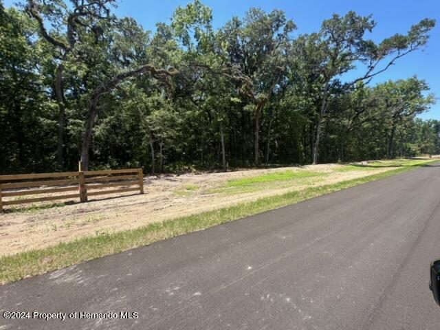 Republican (lot 2) Way, Brooksville, Florida image 17
