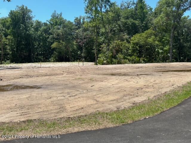 Republican (lot 2) Way, Brooksville, Florida image 9