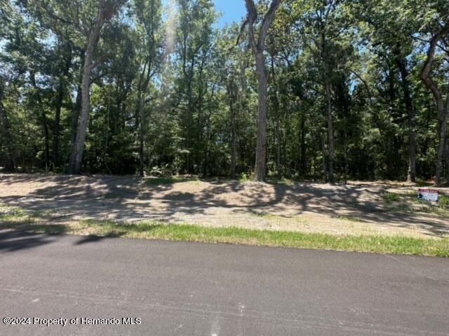Republican (lot 2) Way, Brooksville, Florida image 19