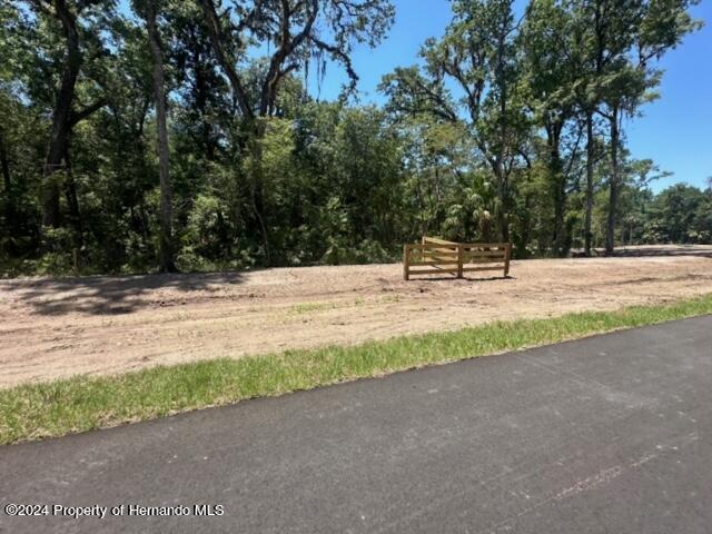 Republican (lot 2) Way, Brooksville, Florida image 13
