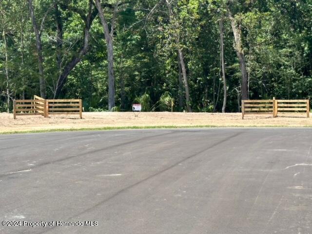 Republican (lot 2) Way, Brooksville, Florida image 6