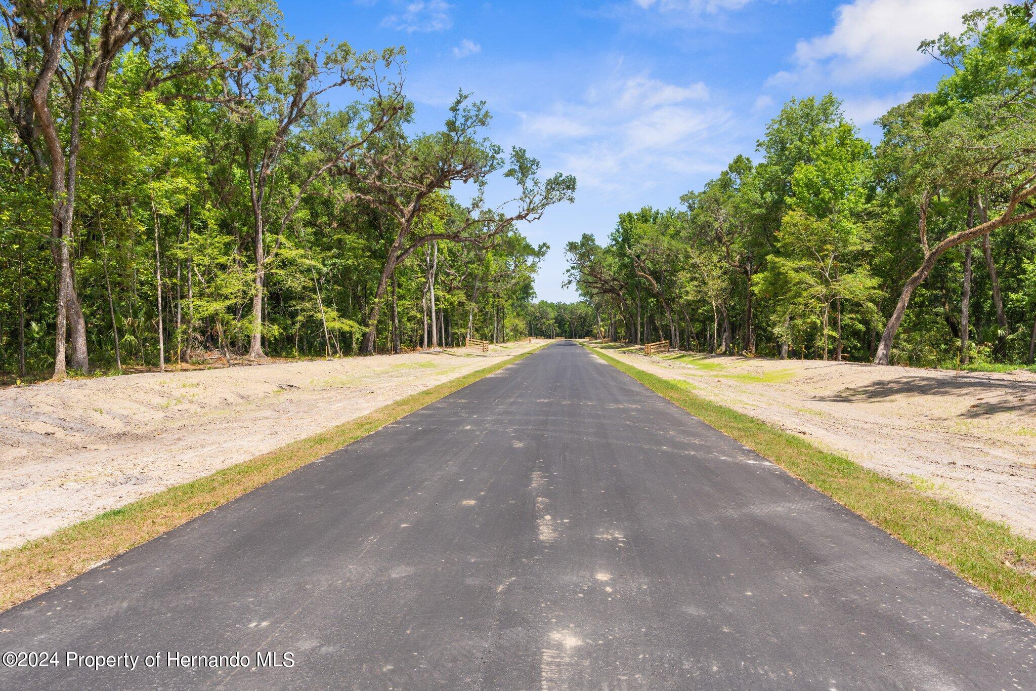 Republican (lot 2) Way, Brooksville, Florida image 2