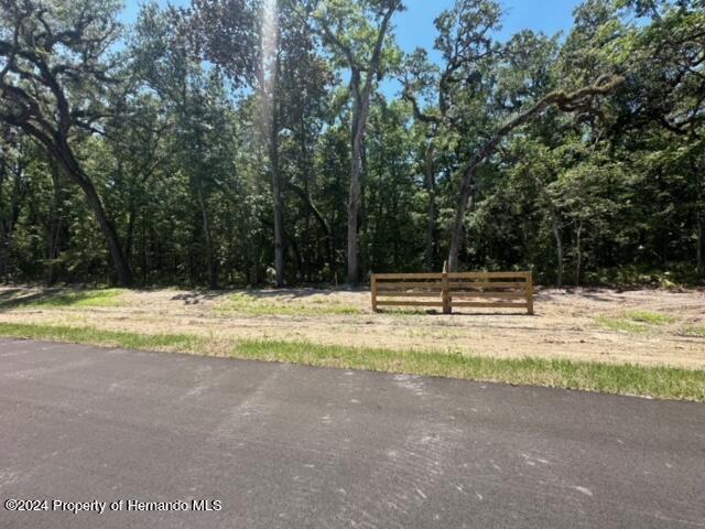 Republican (lot 2) Way, Brooksville, Florida image 15