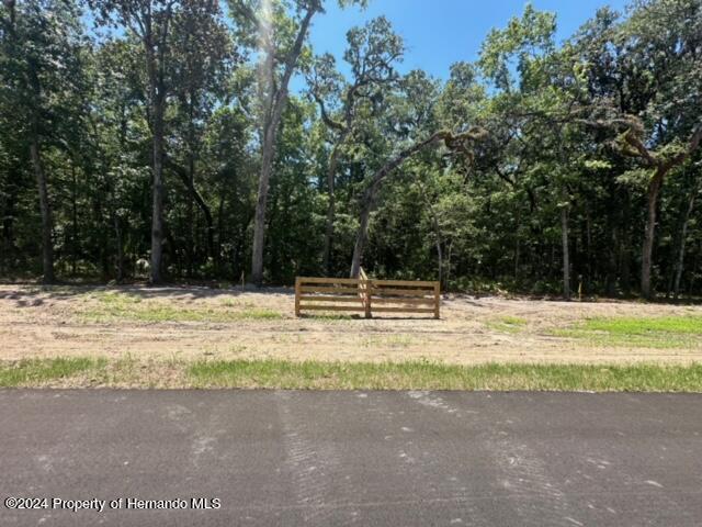 Republican (lot 2) Way, Brooksville, Florida image 18