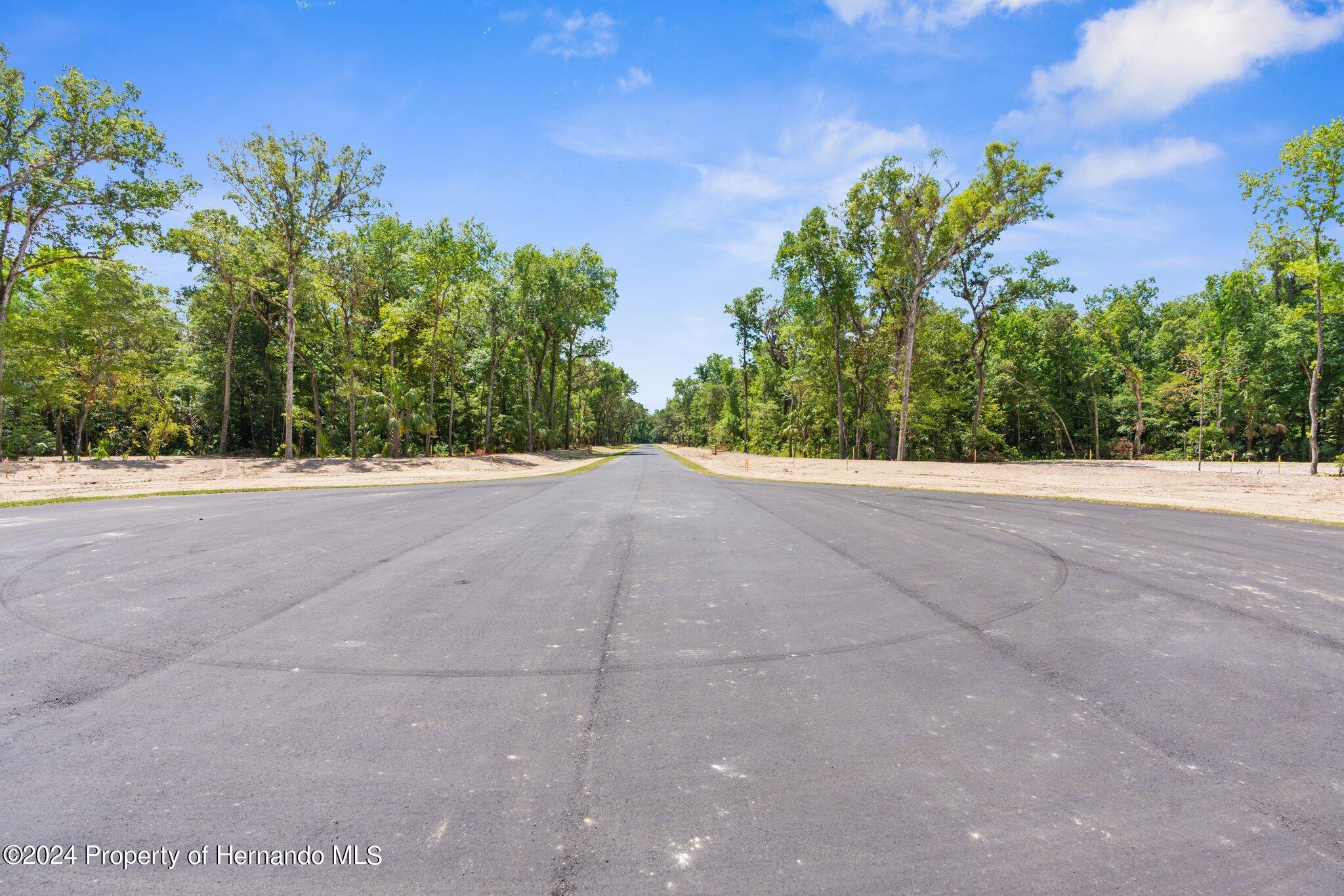 Republican (lot 2) Way, Brooksville, Florida image 3