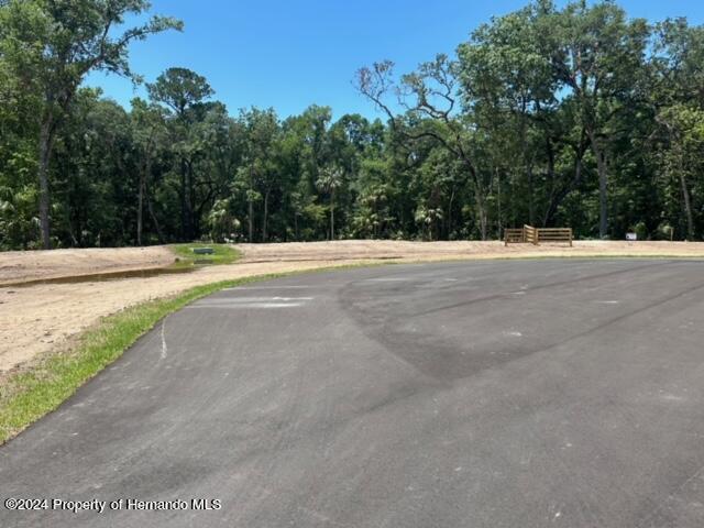 Republican (lot 2) Way, Brooksville, Florida image 10