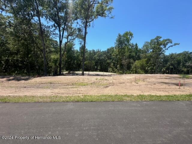 Republican (lot 2) Way, Brooksville, Florida image 12