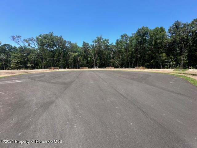 Republican (lot 2) Way, Brooksville, Florida image 4