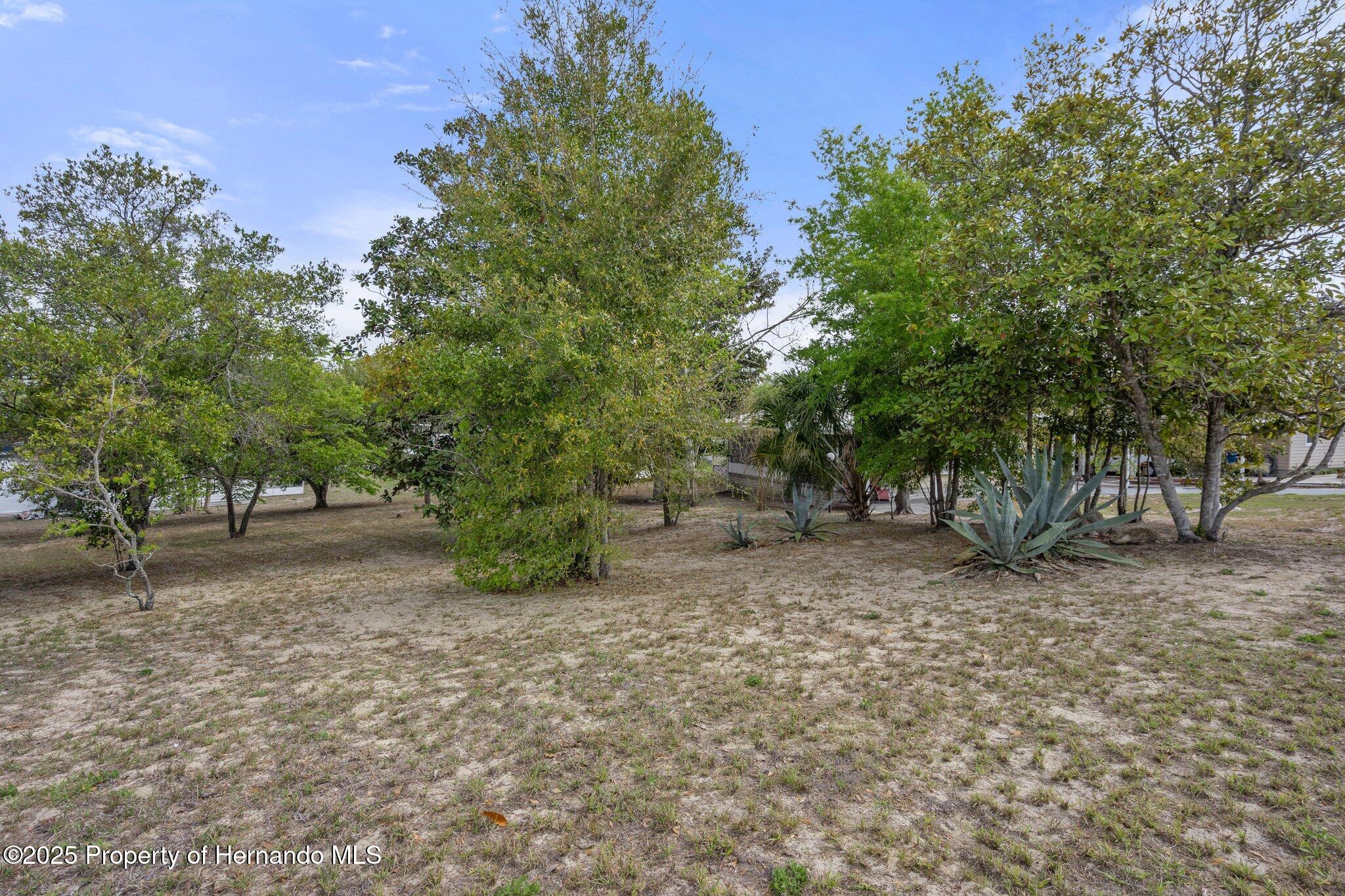 8599 Highpoint Boulevard, Brooksville, Florida image 35