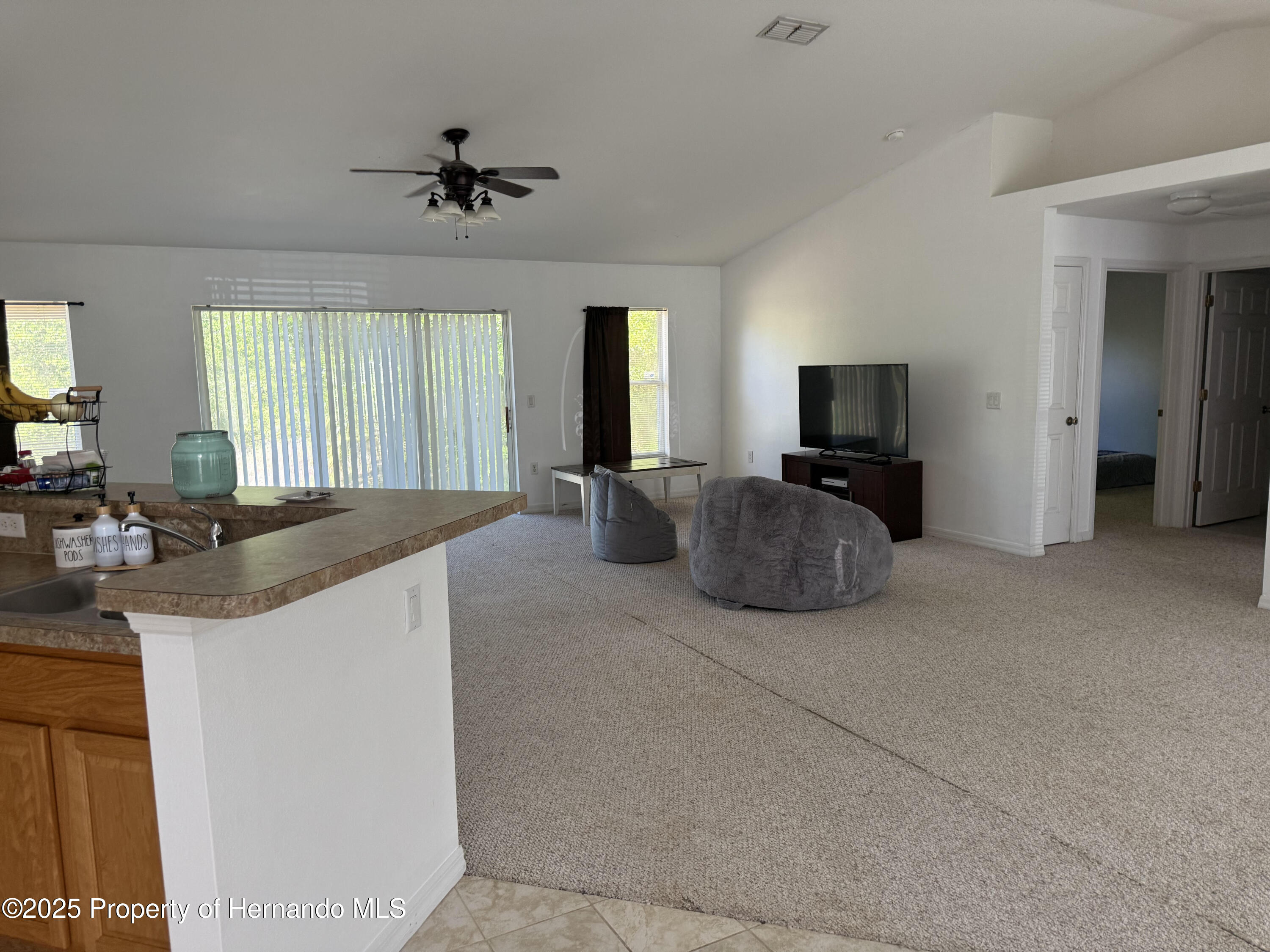 16045 Cave Swallow Rd, Weeki Wachee, Florida image 9