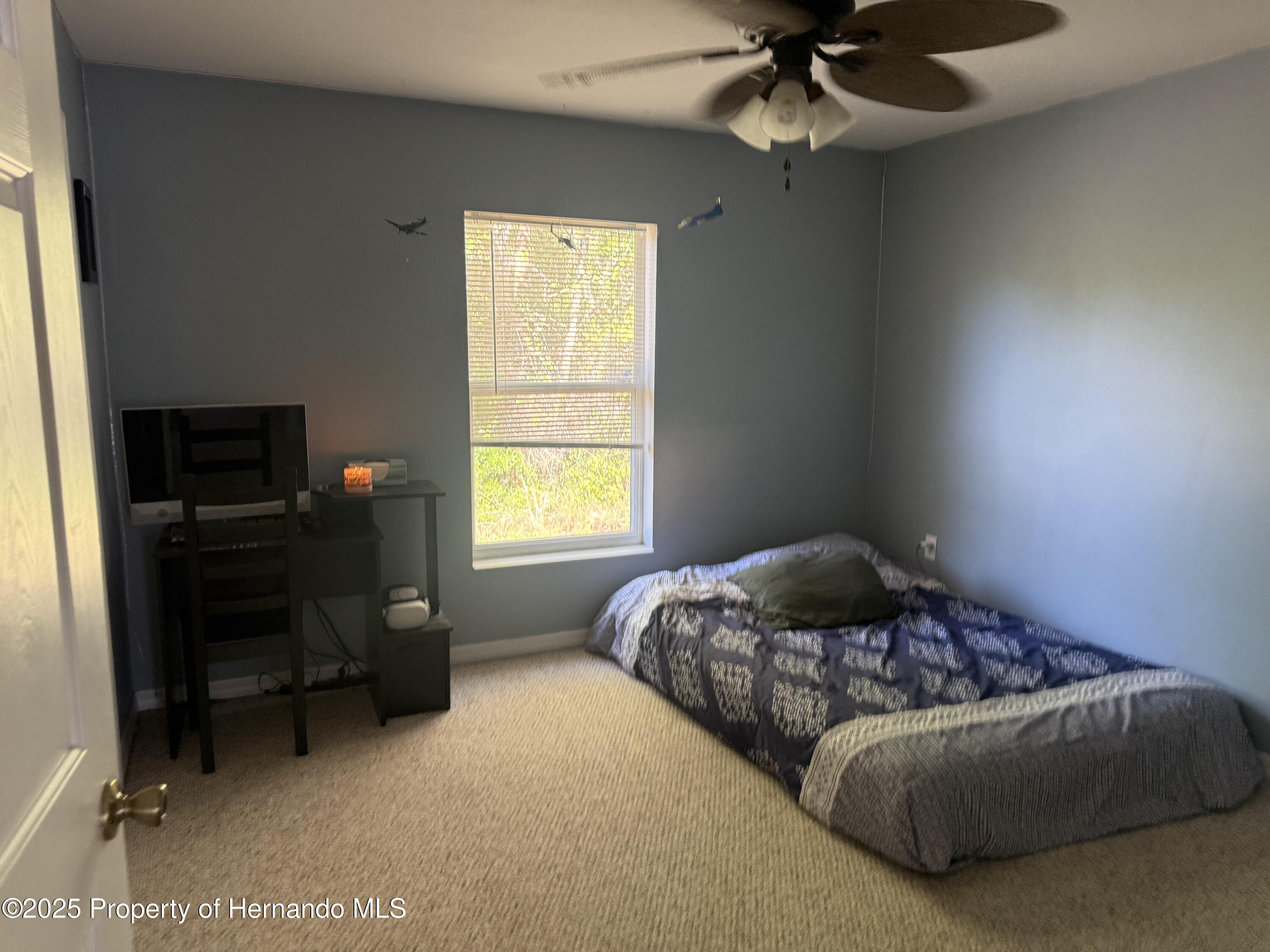 16045 Cave Swallow Rd, Weeki Wachee, Florida image 22