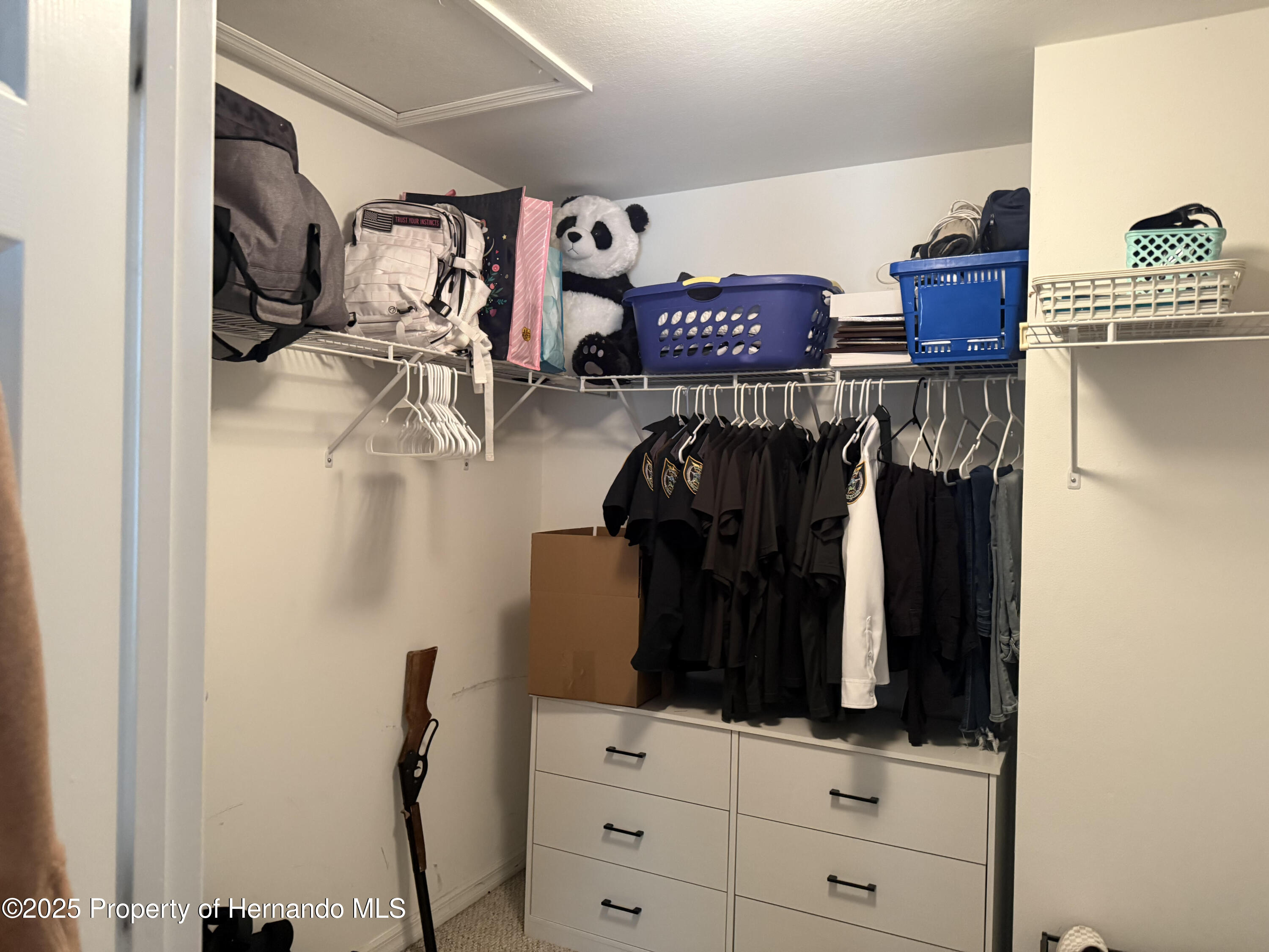 16045 Cave Swallow Rd, Weeki Wachee, Florida image 21