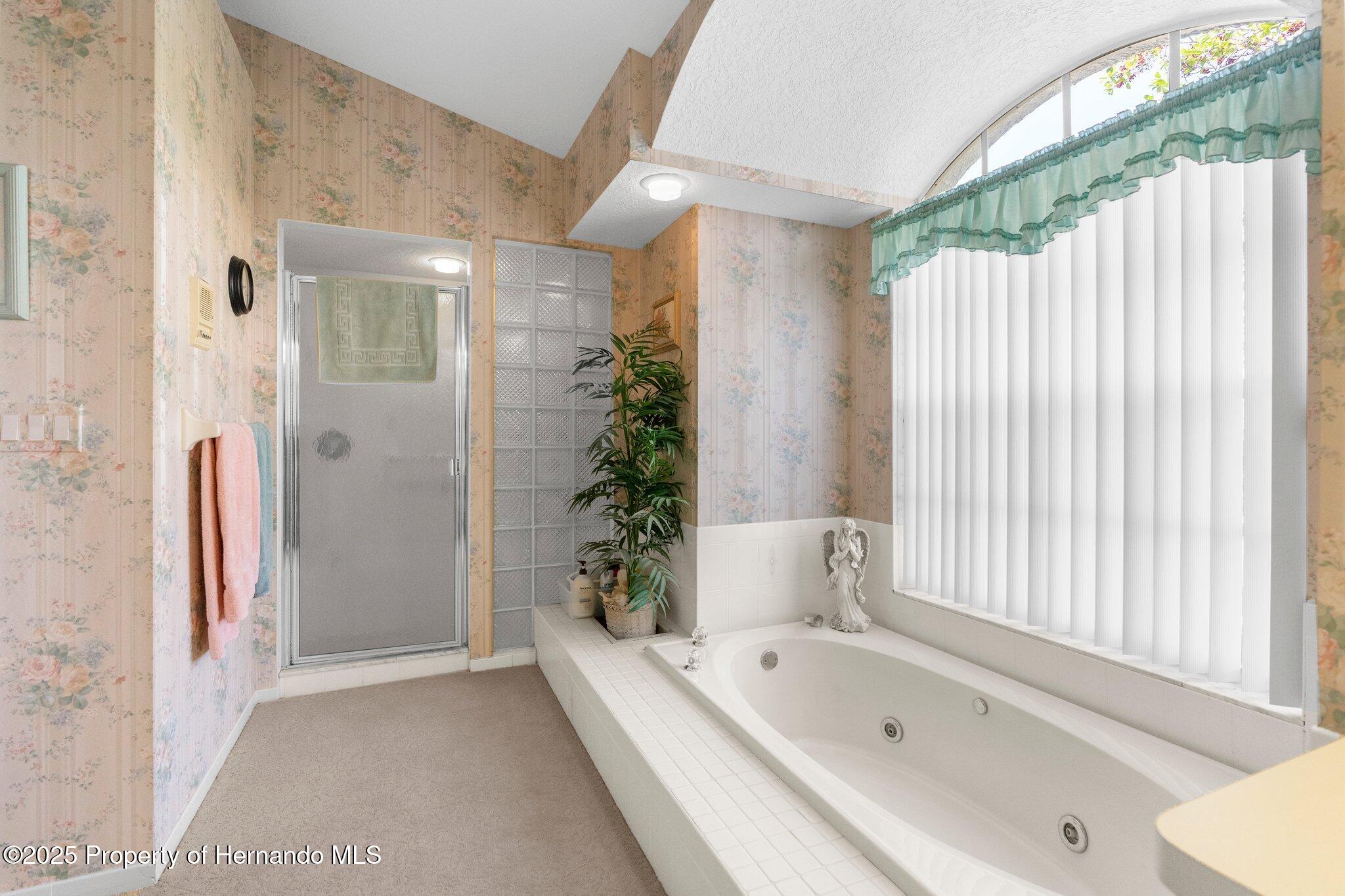 6234 Penna Street, Spring Hill, Florida image 34