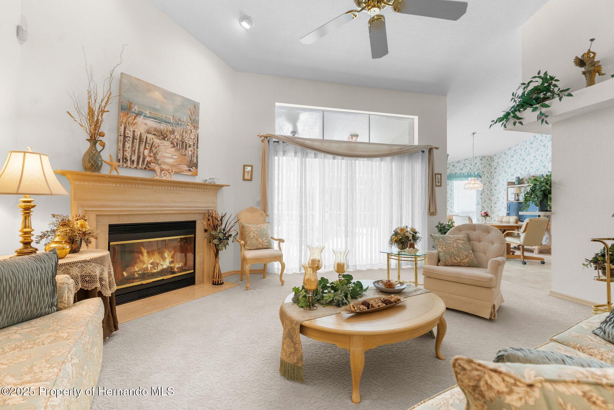 6234 Penna Street, Spring Hill, Florida image 12