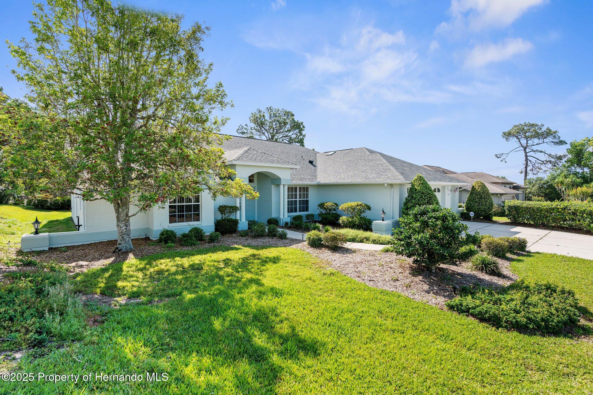 6234 Penna Street, Spring Hill, Florida image 2