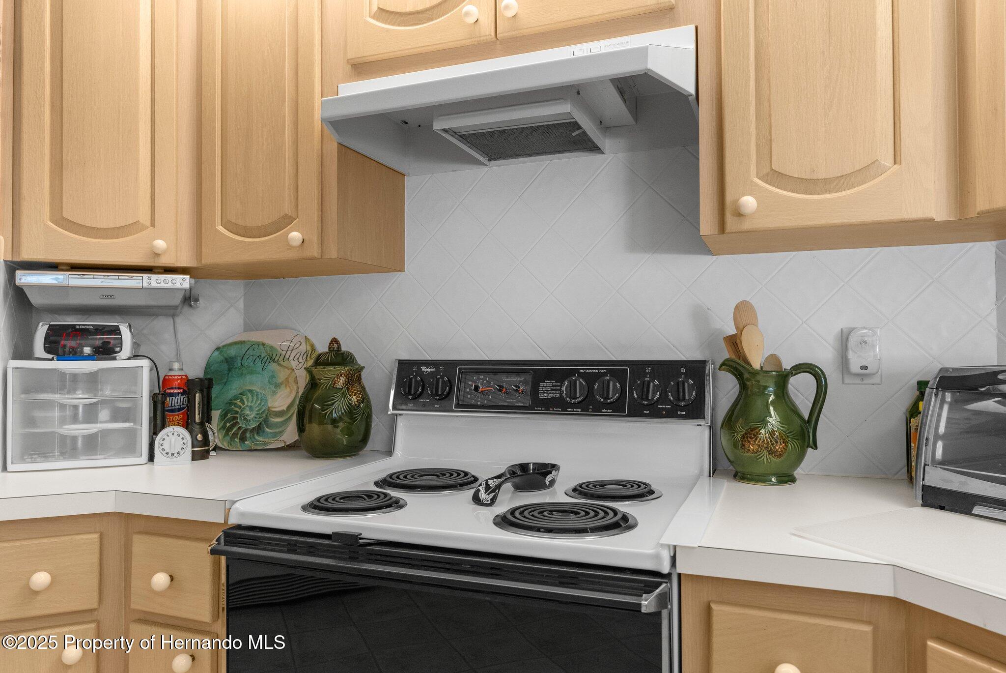 6234 Penna Street, Spring Hill, Florida image 24