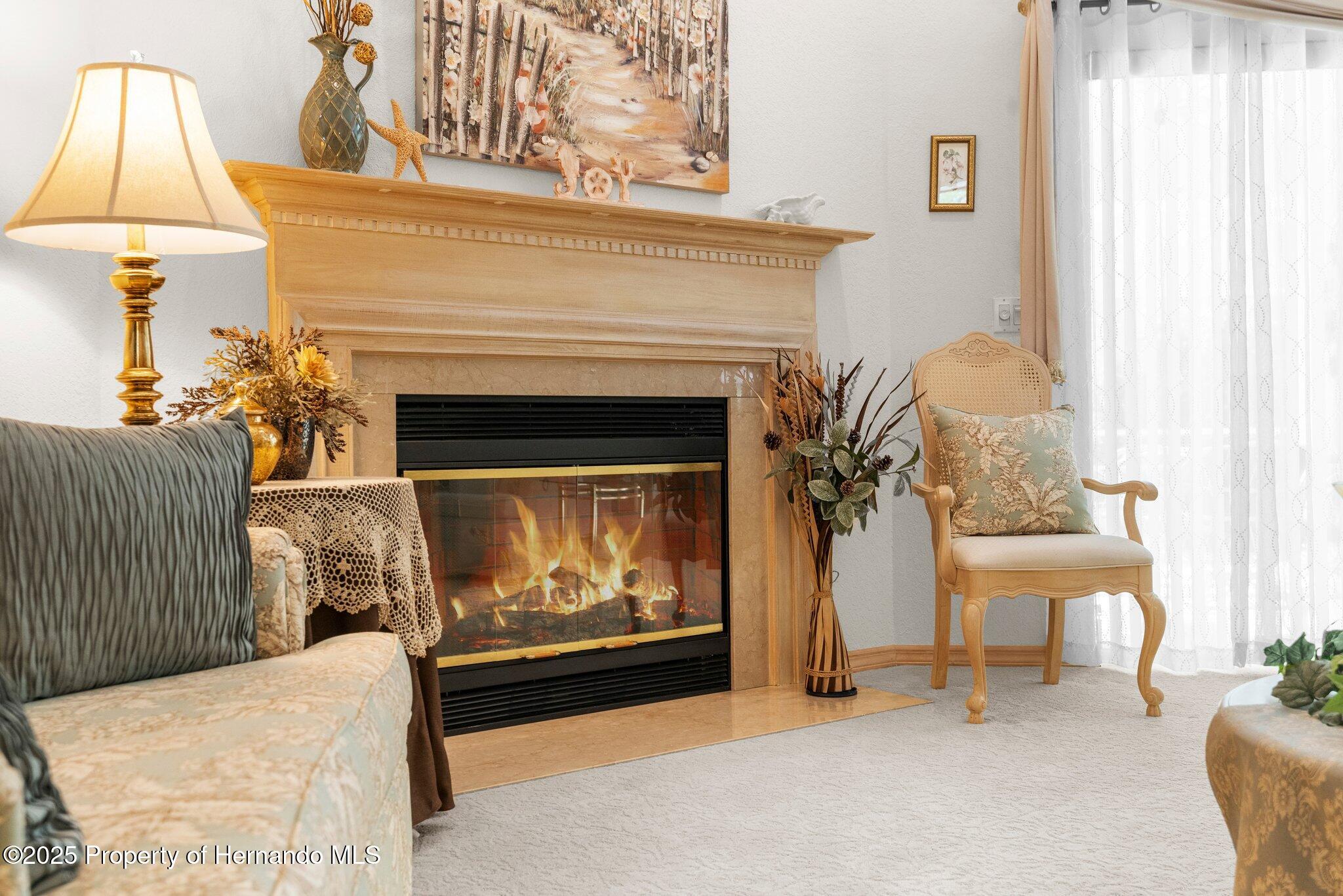 6234 Penna Street, Spring Hill, Florida image 16