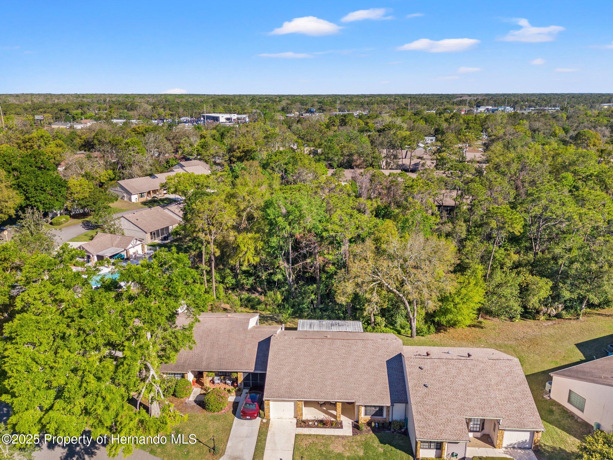 6652 Brambleleaf Drive, Spring Hill, Florida image 29