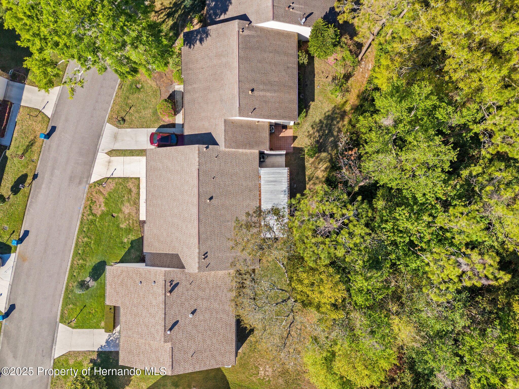 6652 Brambleleaf Drive, Spring Hill, Florida image 30