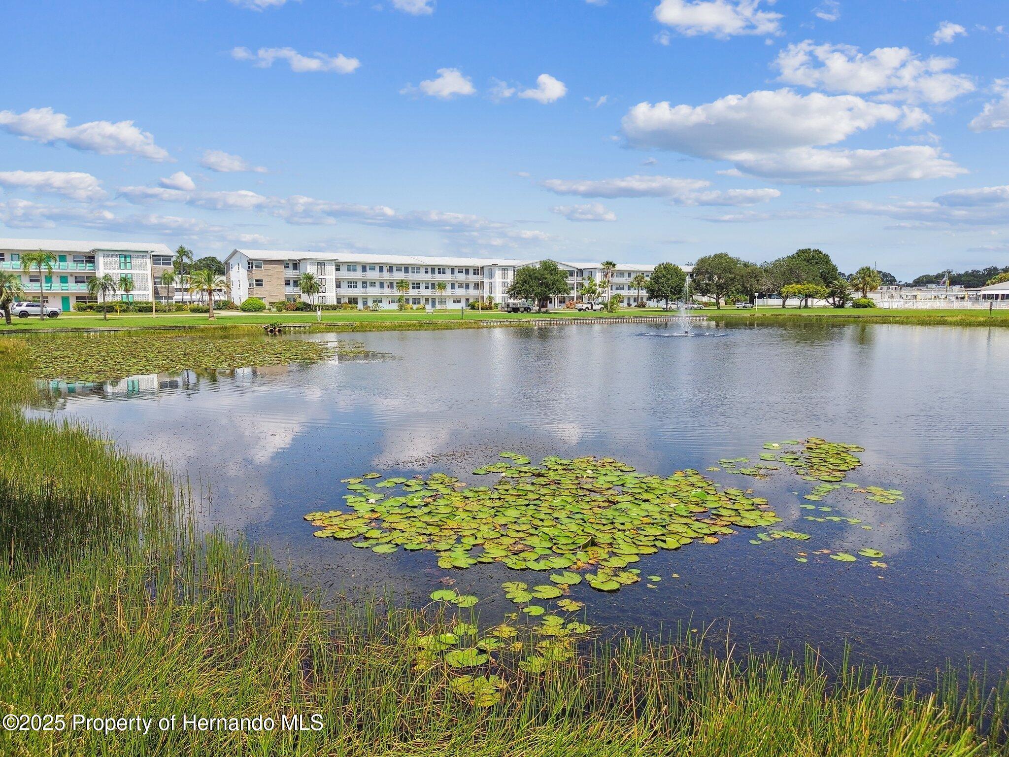 1900 59th Avenue #108, Saint Petersburg, Florida image 9