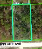 11391 Mississippi Kite Avenue, Brooksville, Florida image 1