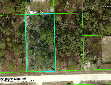 11391 Mississippi Kite Avenue, Brooksville, Florida image 2