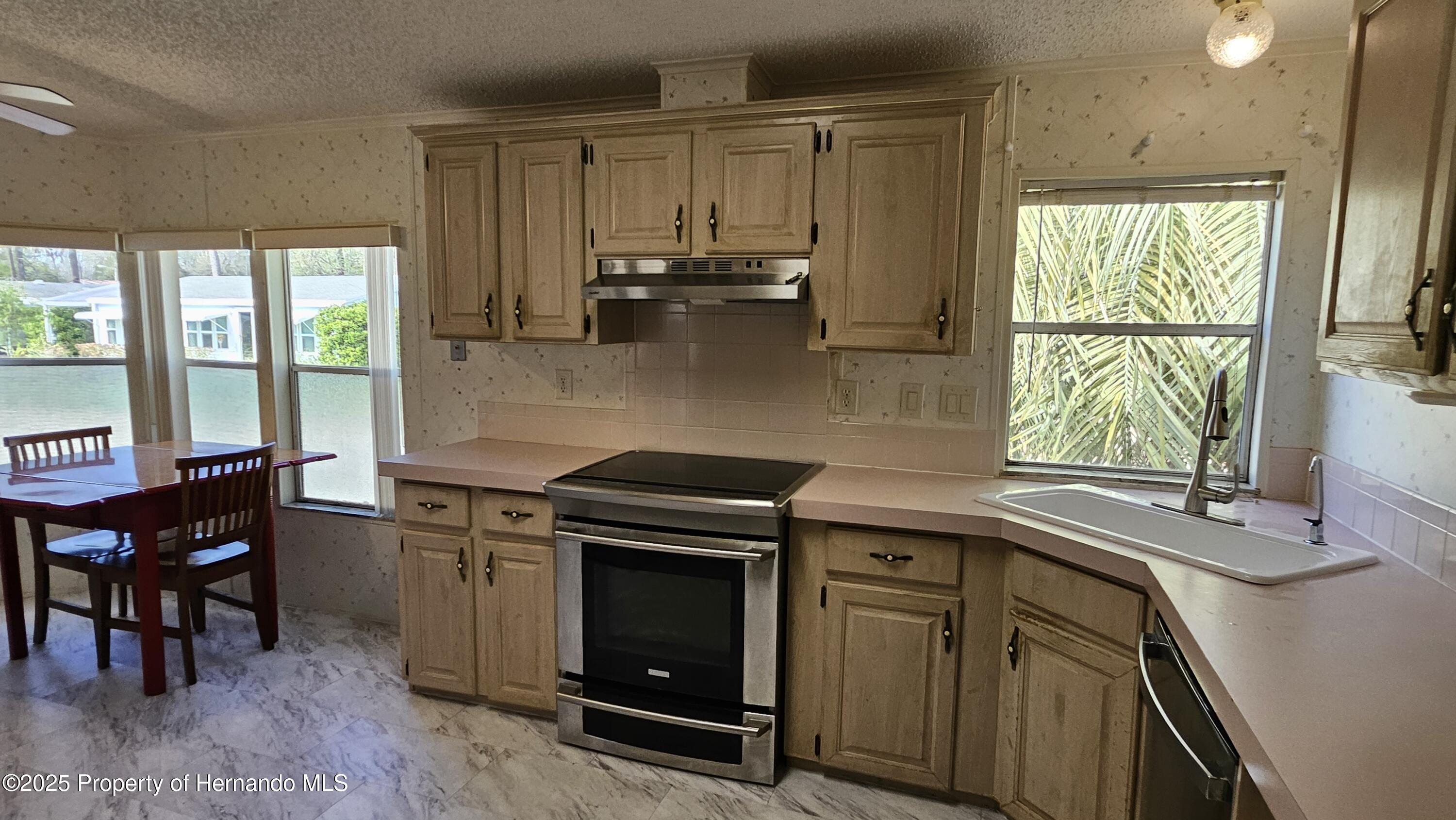 18062 Carrolwood Drive, Brooksville, Florida image 11