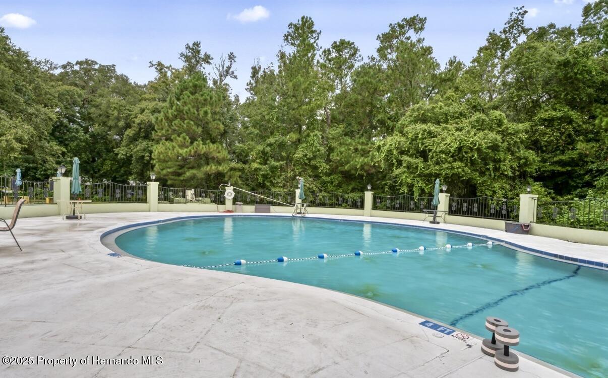18062 Carrolwood Drive, Brooksville, Florida image 43