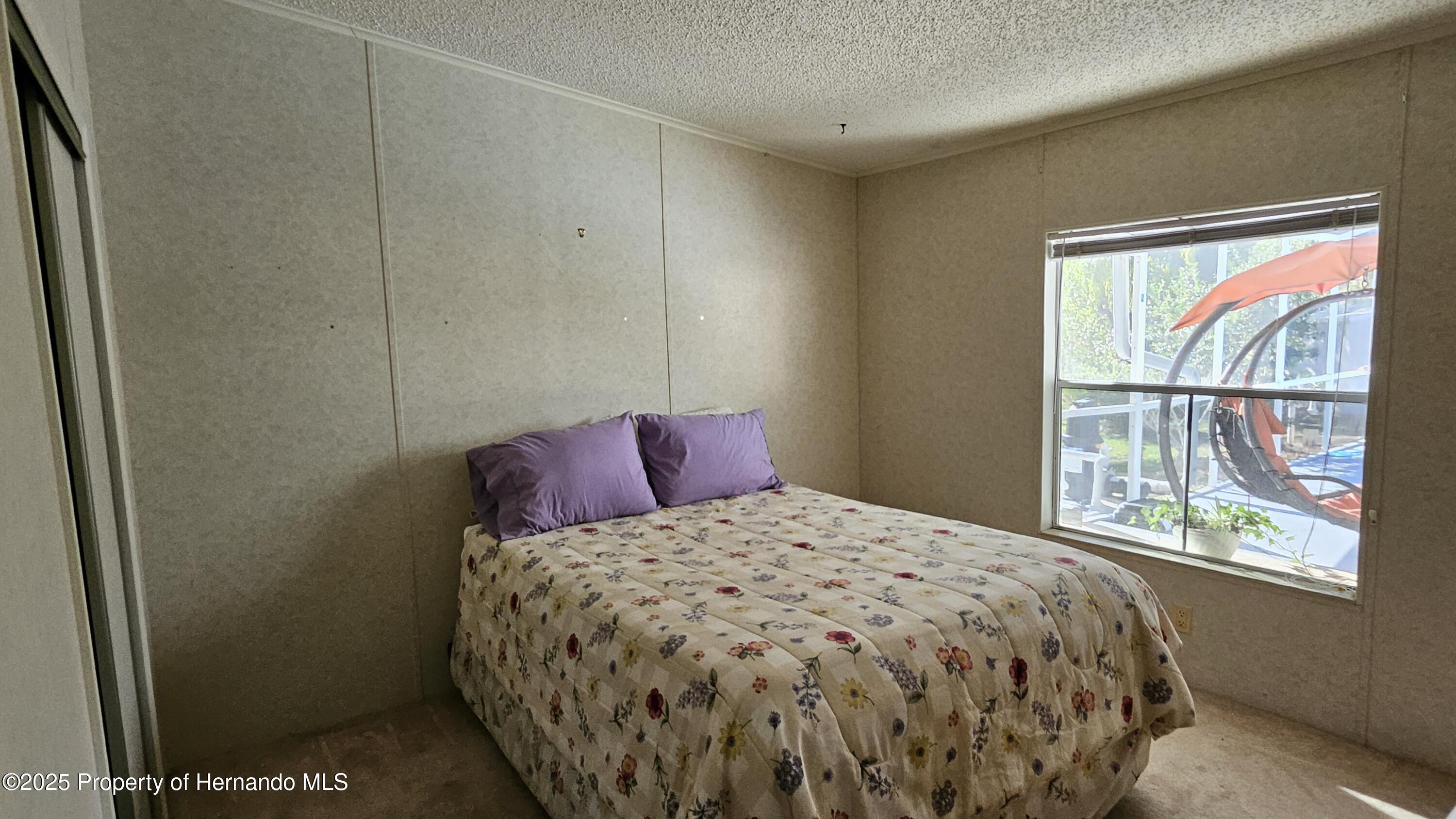 18062 Carrolwood Drive, Brooksville, Florida image 25