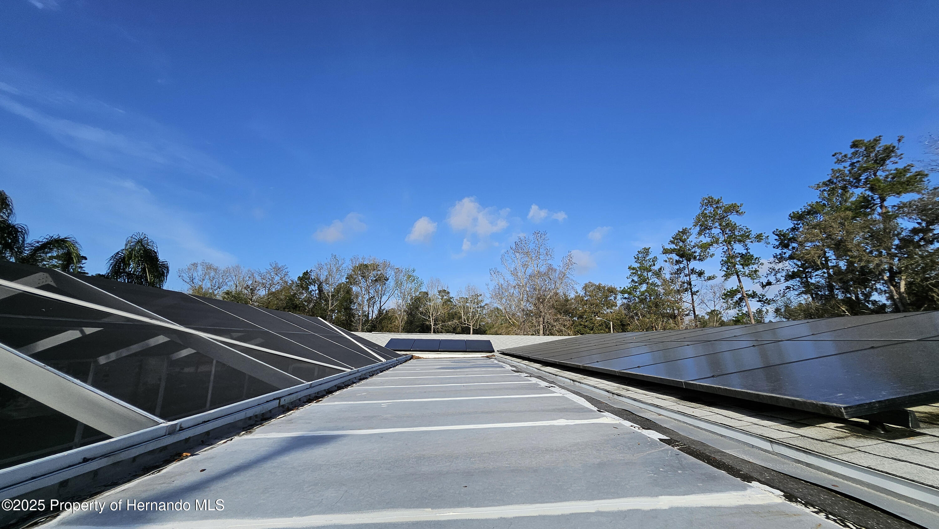 18062 Carrolwood Drive, Brooksville, Florida image 39