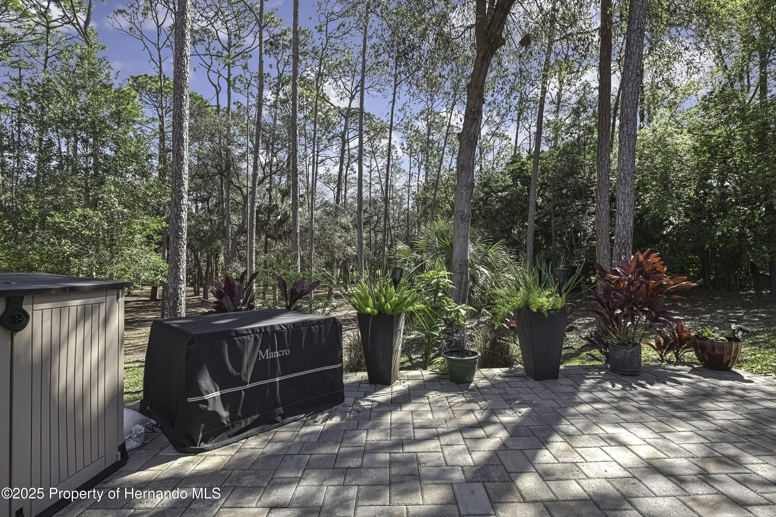 6395 Pinestand Court, Spring Hill, Florida image 19