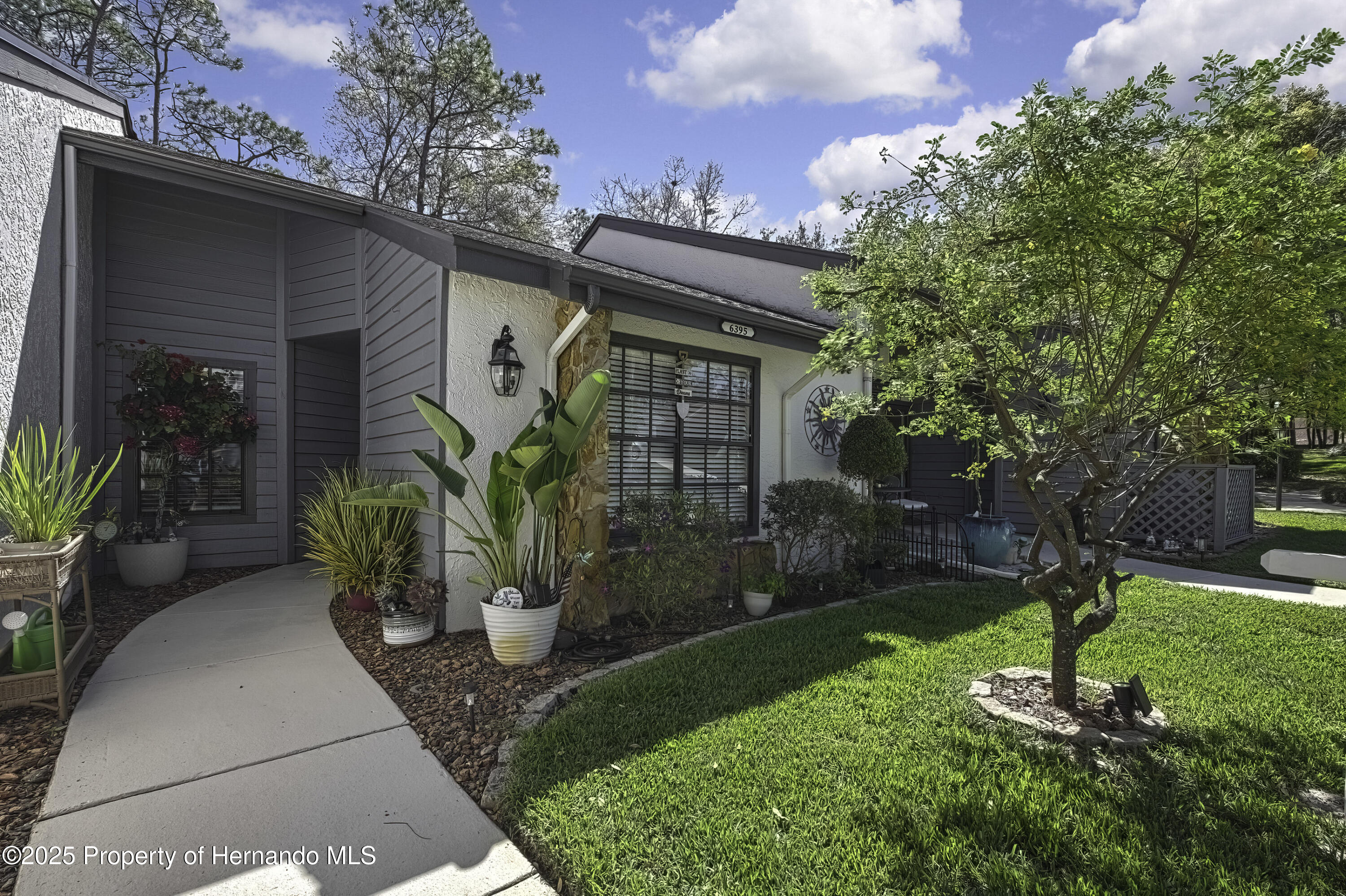 6395 Pinestand Court, Spring Hill, Florida image 1