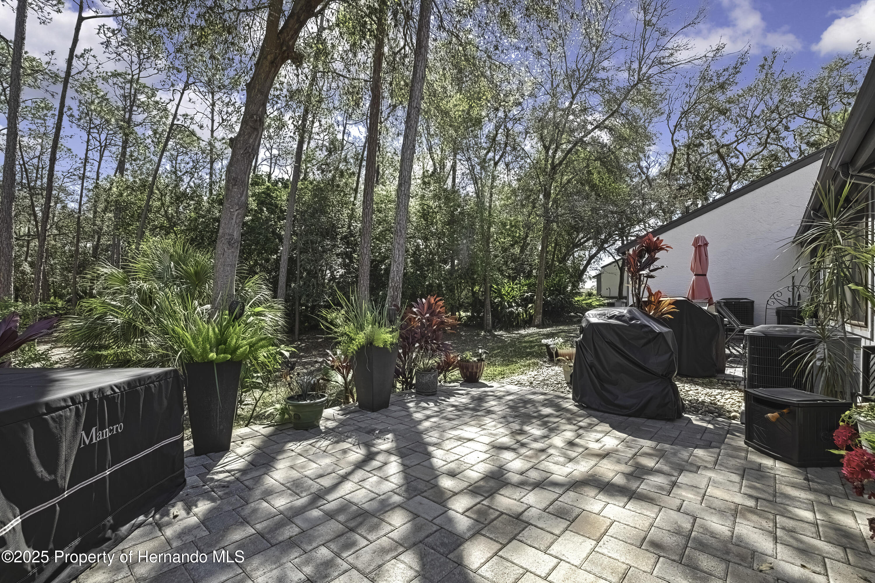 6395 Pinestand Court, Spring Hill, Florida image 18