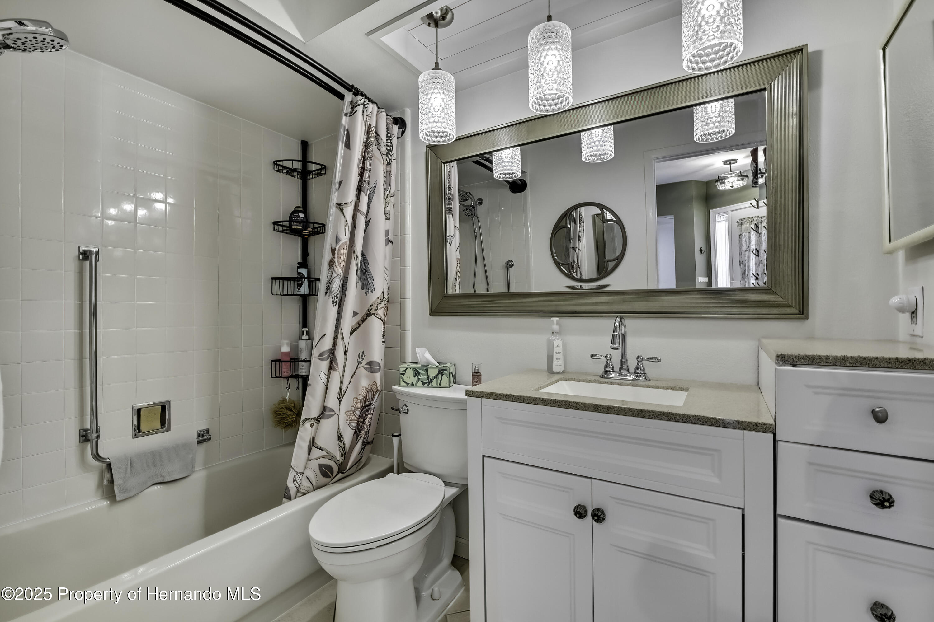 6395 Pinestand Court, Spring Hill, Florida image 15