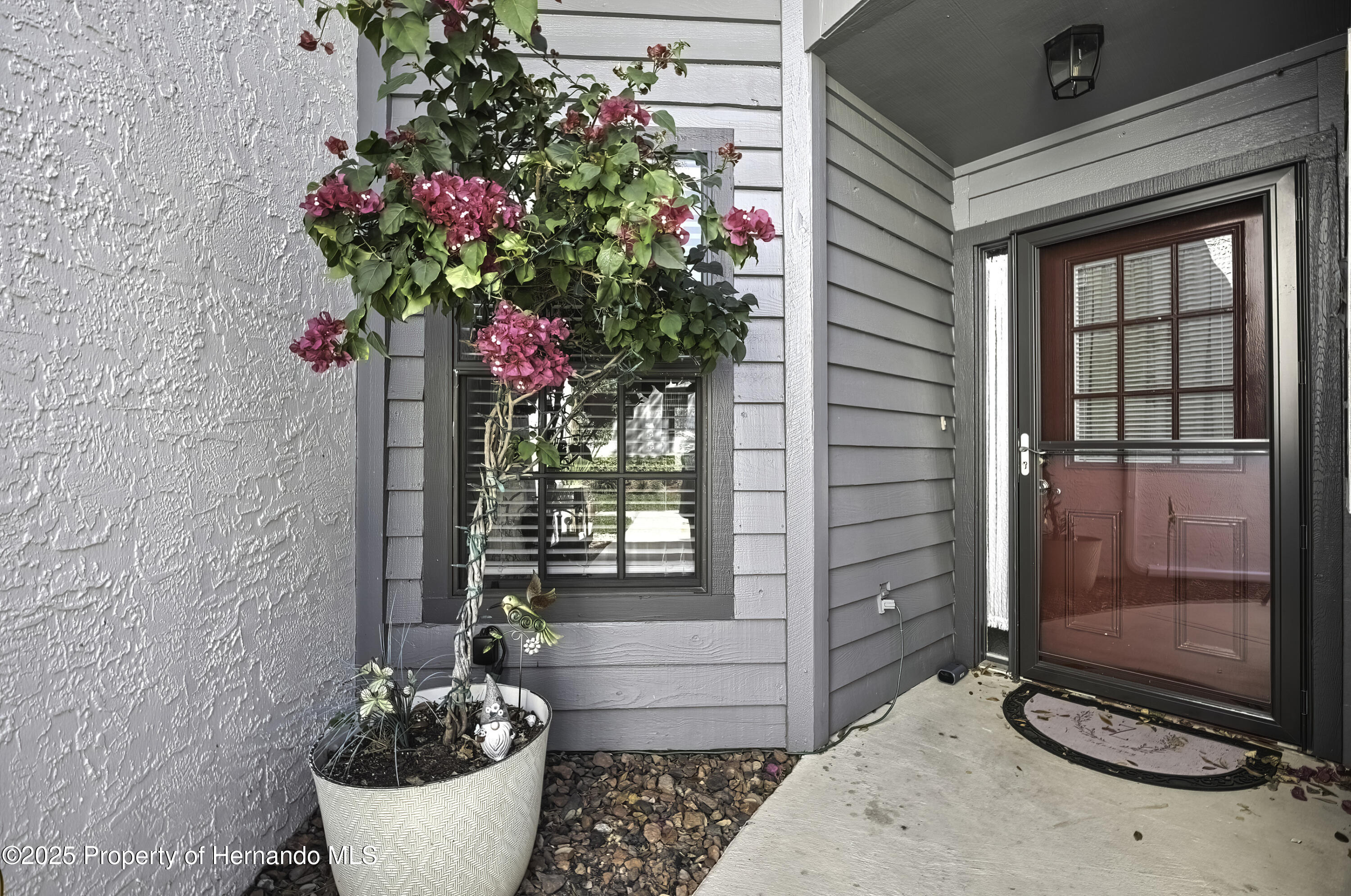 6395 Pinestand Court, Spring Hill, Florida image 22