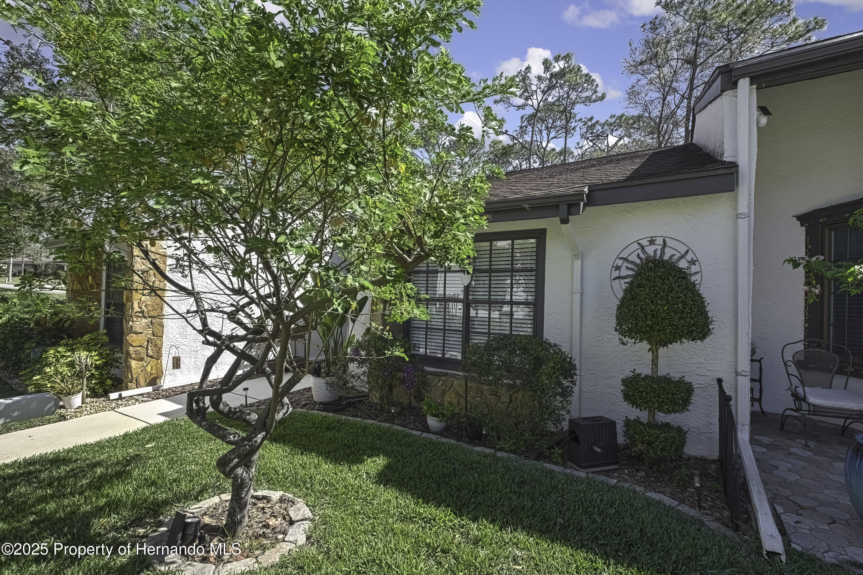 6395 Pinestand Court, Spring Hill, Florida image 23