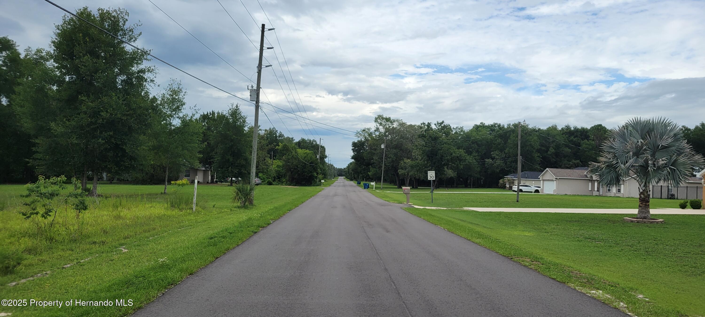 Emerald Drive, Ridge Manor, Florida image 3