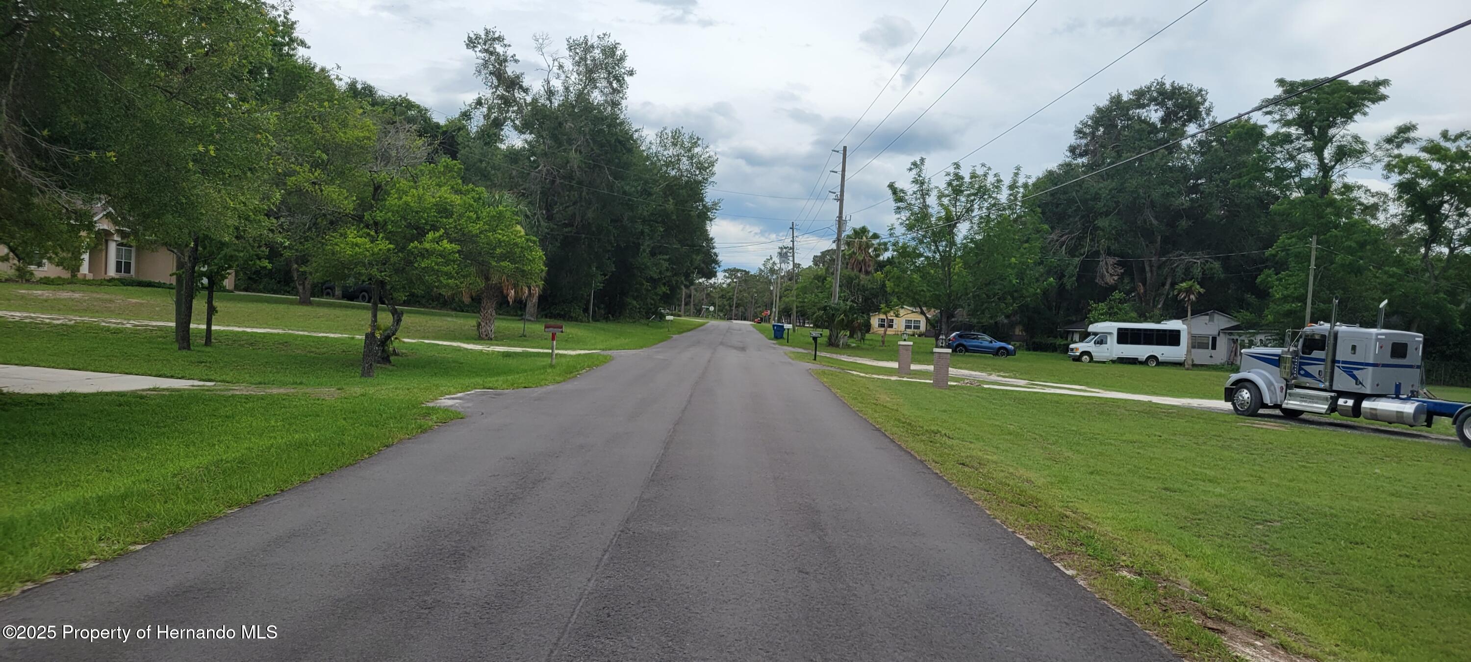 Emerald Drive, Ridge Manor, Florida image 2