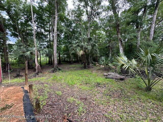 6672 E Channel Drive, Hernando, Florida image 11