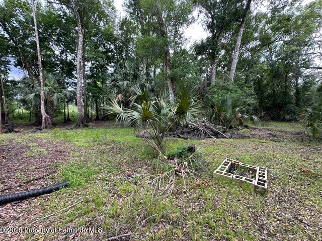 6672 E Channel Drive, Hernando, Florida image 10
