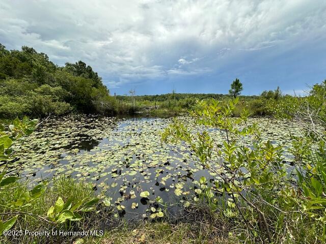 6672 E Channel Drive, Hernando, Florida image 23