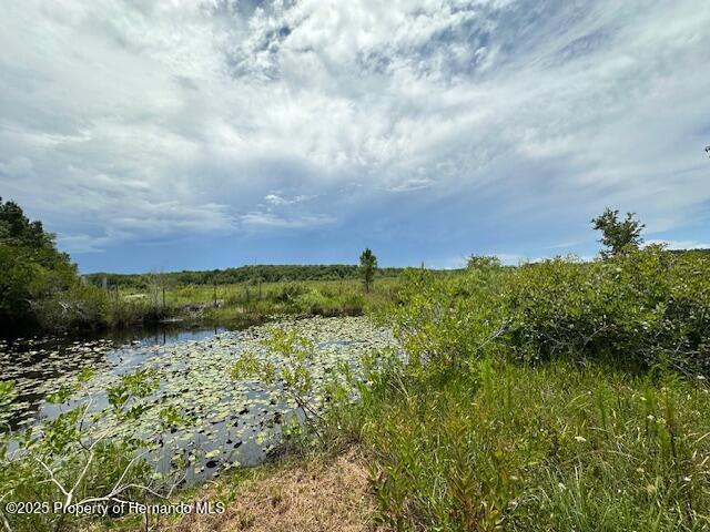 6672 E Channel Drive, Hernando, Florida image 22